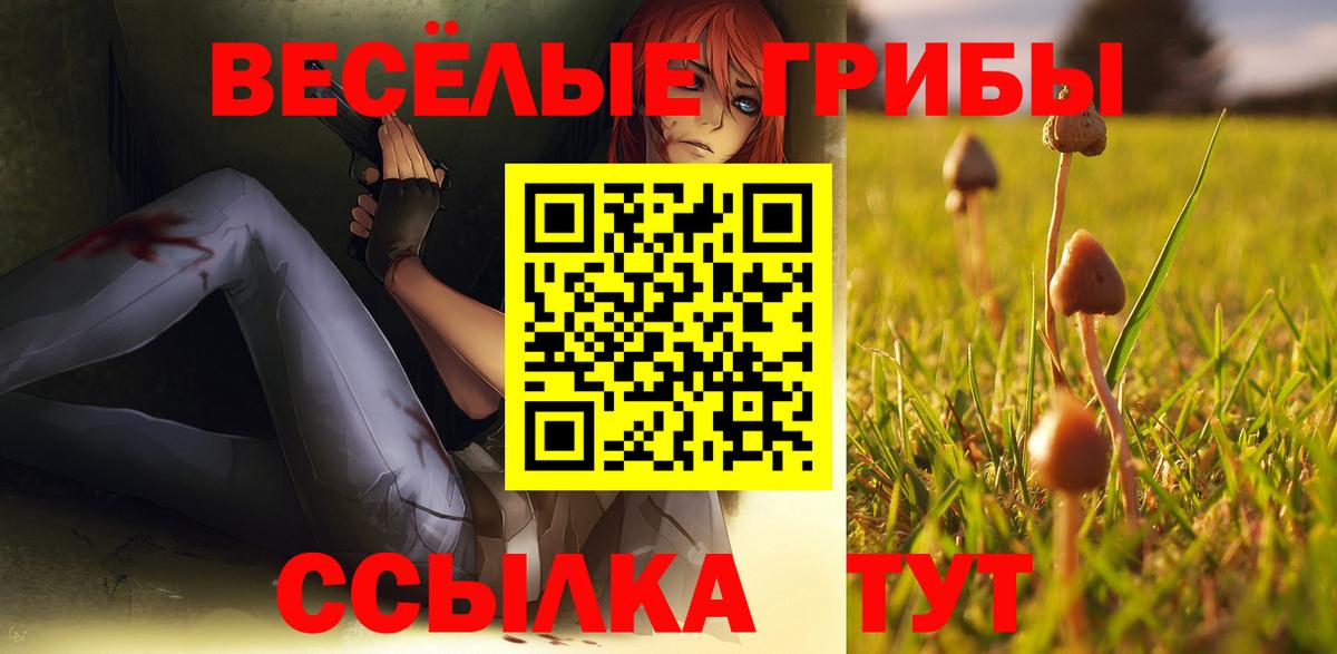 Псилоцибиновые грибы прущие грибы Калуга