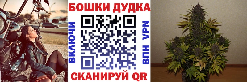 Конопля конопля  где найти наркотики  Калуга 